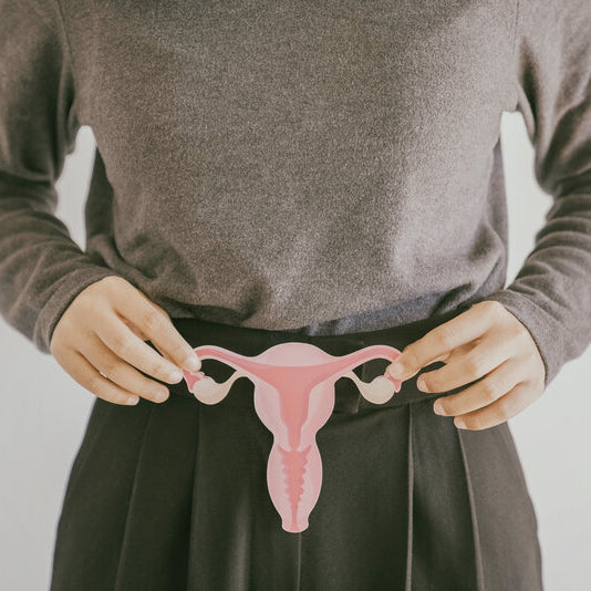 Woman holding a picture of the reproductive system